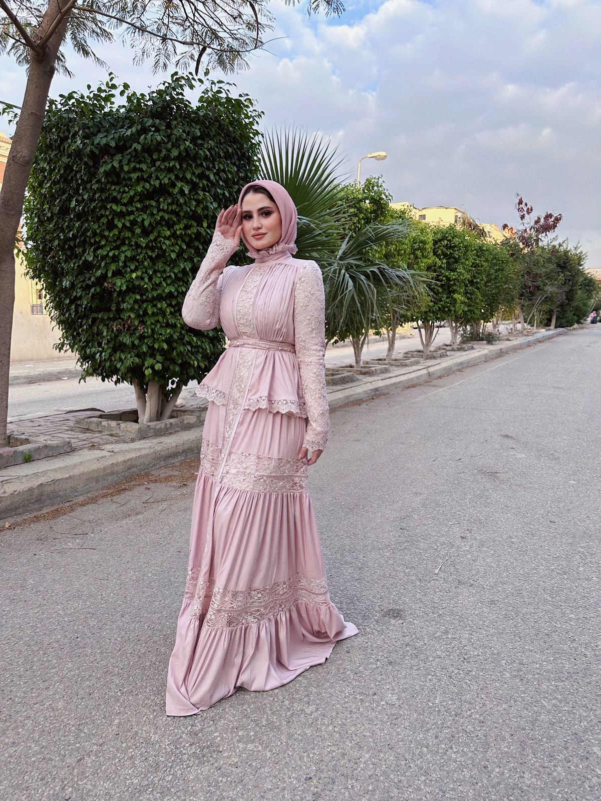 Rose Vintage Soiree Dress