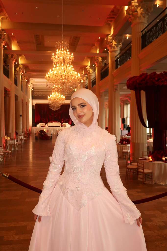 Pale Pink Layered Chiffon Lace Dress